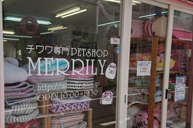 チワワ専門店PETSHOP ／MERRILY(メリリー)